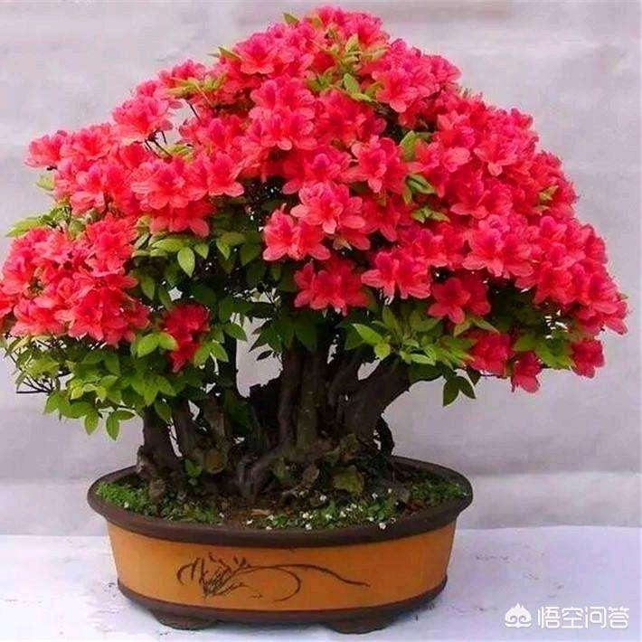 陪你一起变老
