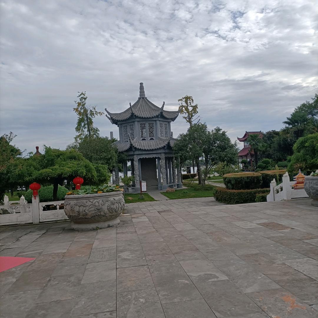 童姑姑