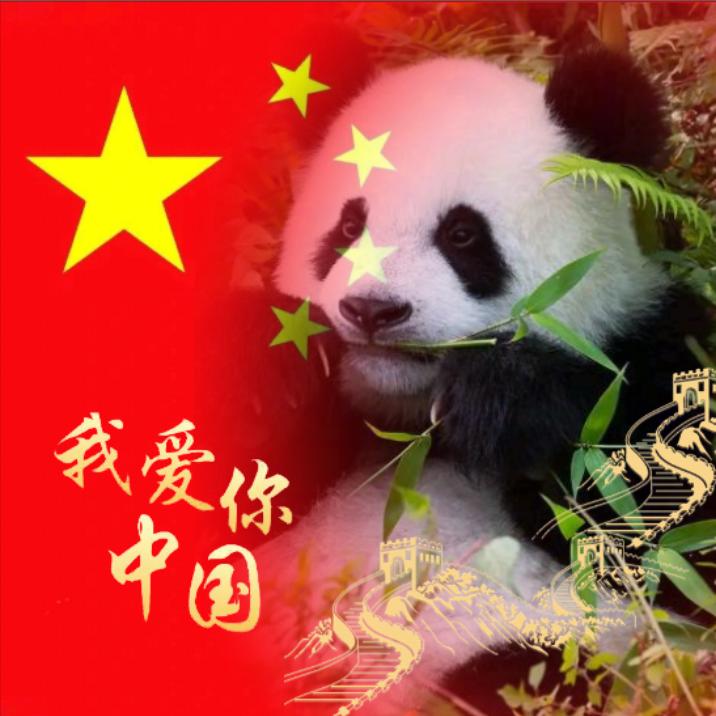 🎋門墩墩🐼