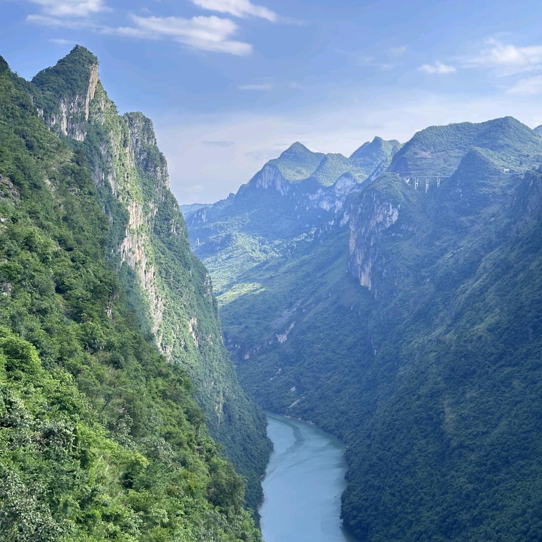 美业大健康市场总裁