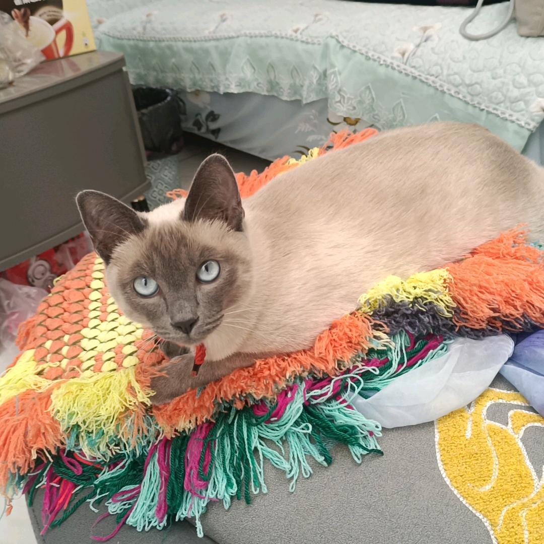 跑调姐大舞台，跑调你就来！