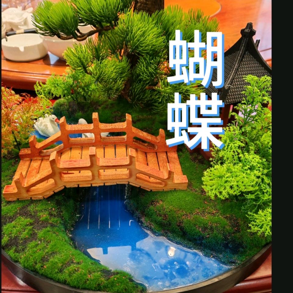 蝴蝶飞飞
