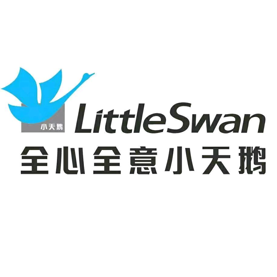 全心全意小天鹅在六安
