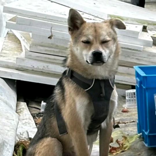 我永远相信土地的力量