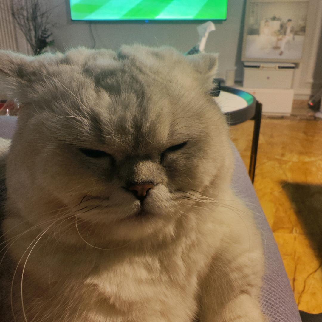 菜鸡爬坡手贾老师儿