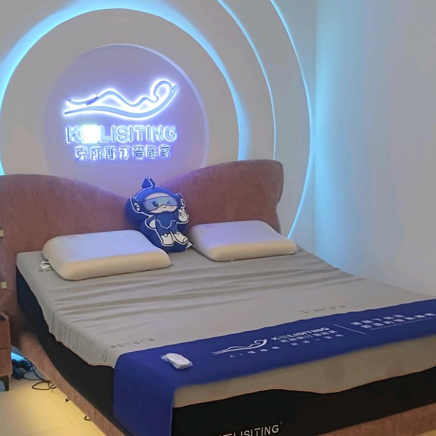 克丽斯汀智能家