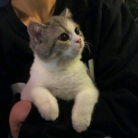 【天】