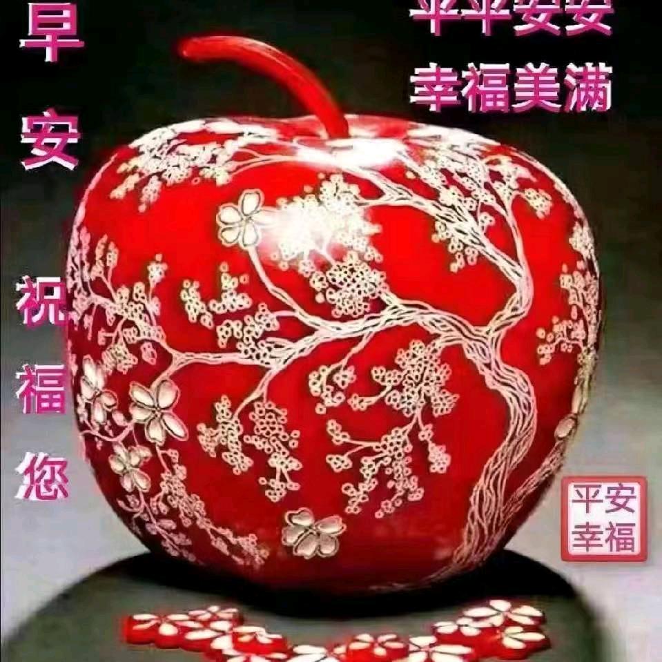 单身一人爱好自己