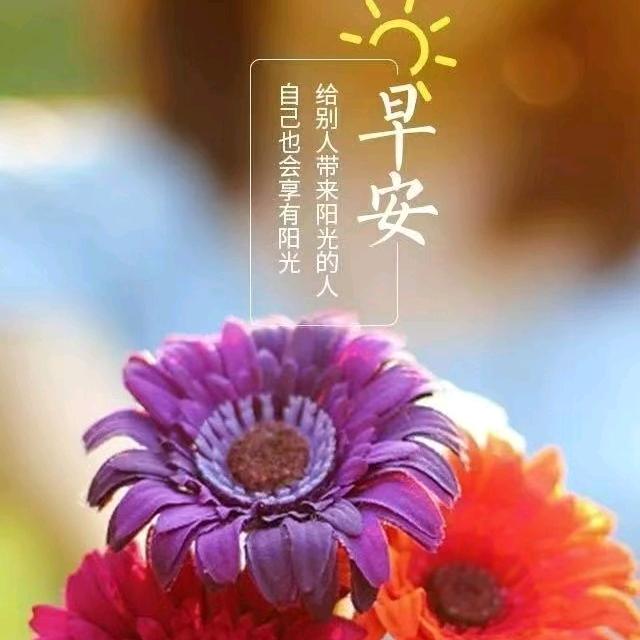 小土豆