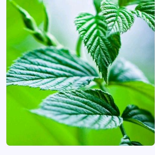 '美美丽丽的小姐姐