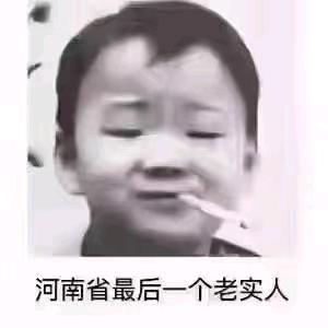 我在人间凑数的日子