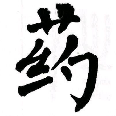 江西药材先生