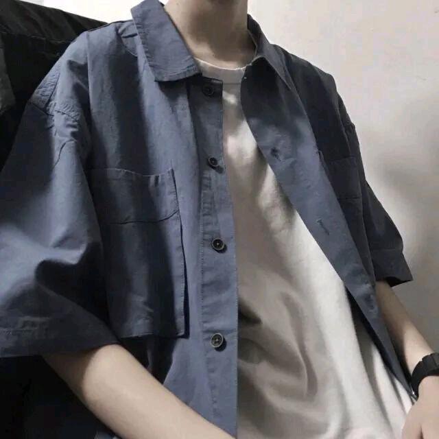 见花乱欲迷人眼