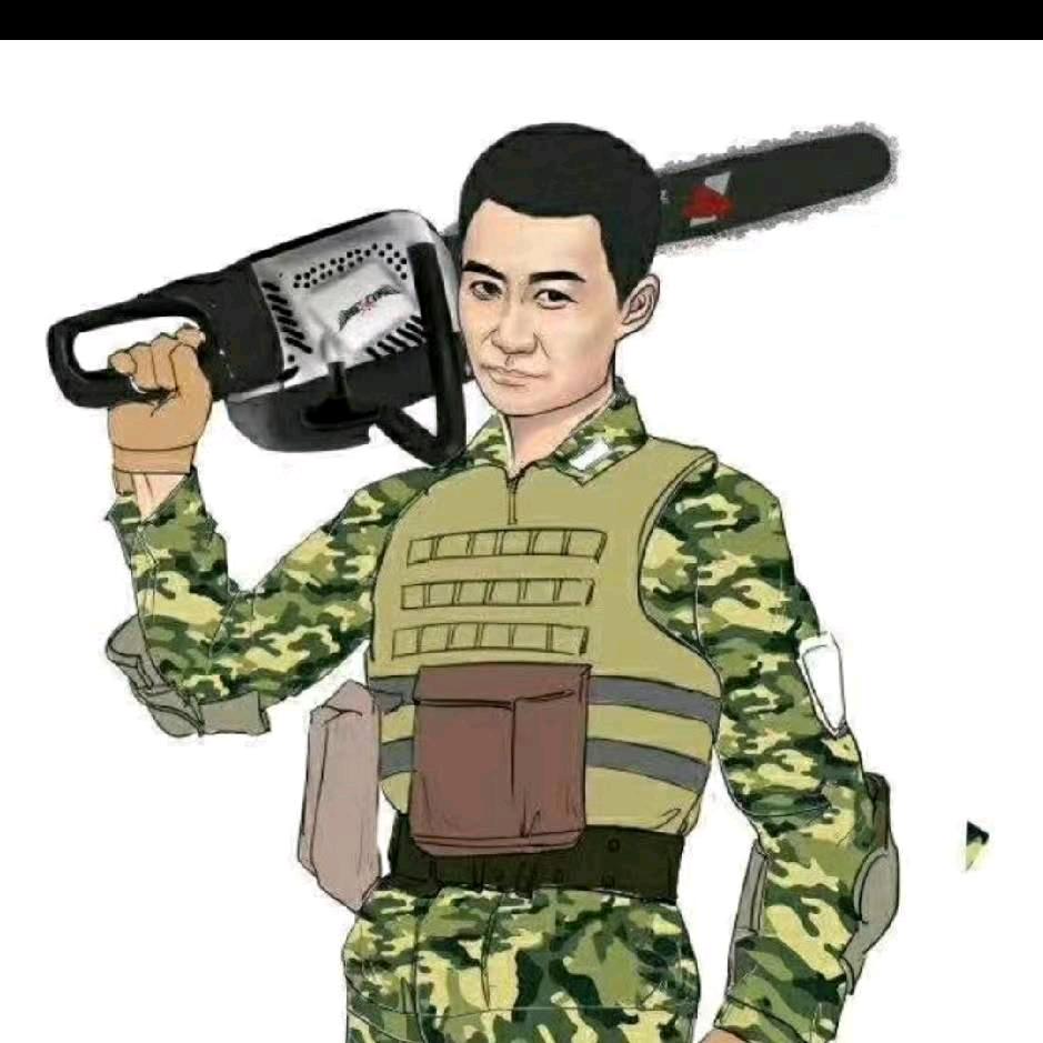 专业伐树工