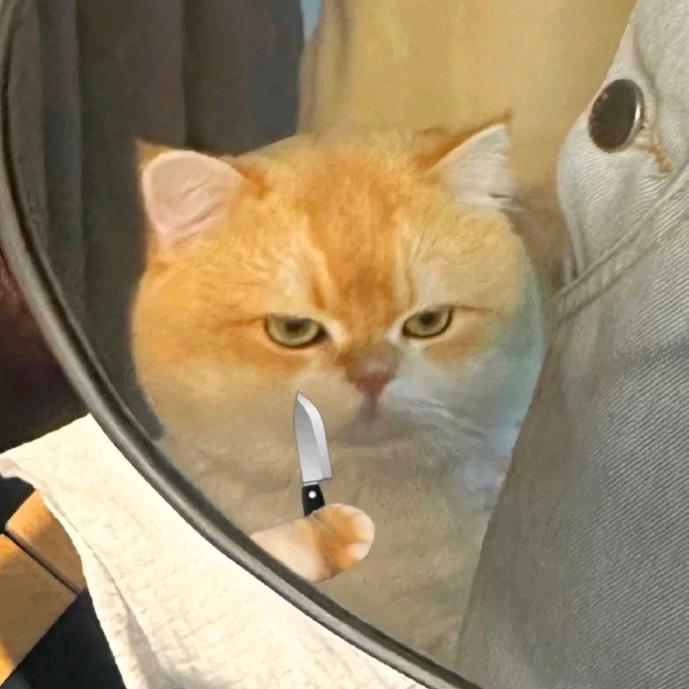 睡不醒的羊头像