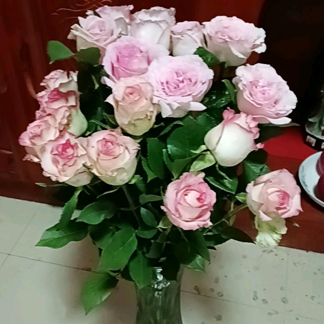 福缘，七妹狮子带花灯