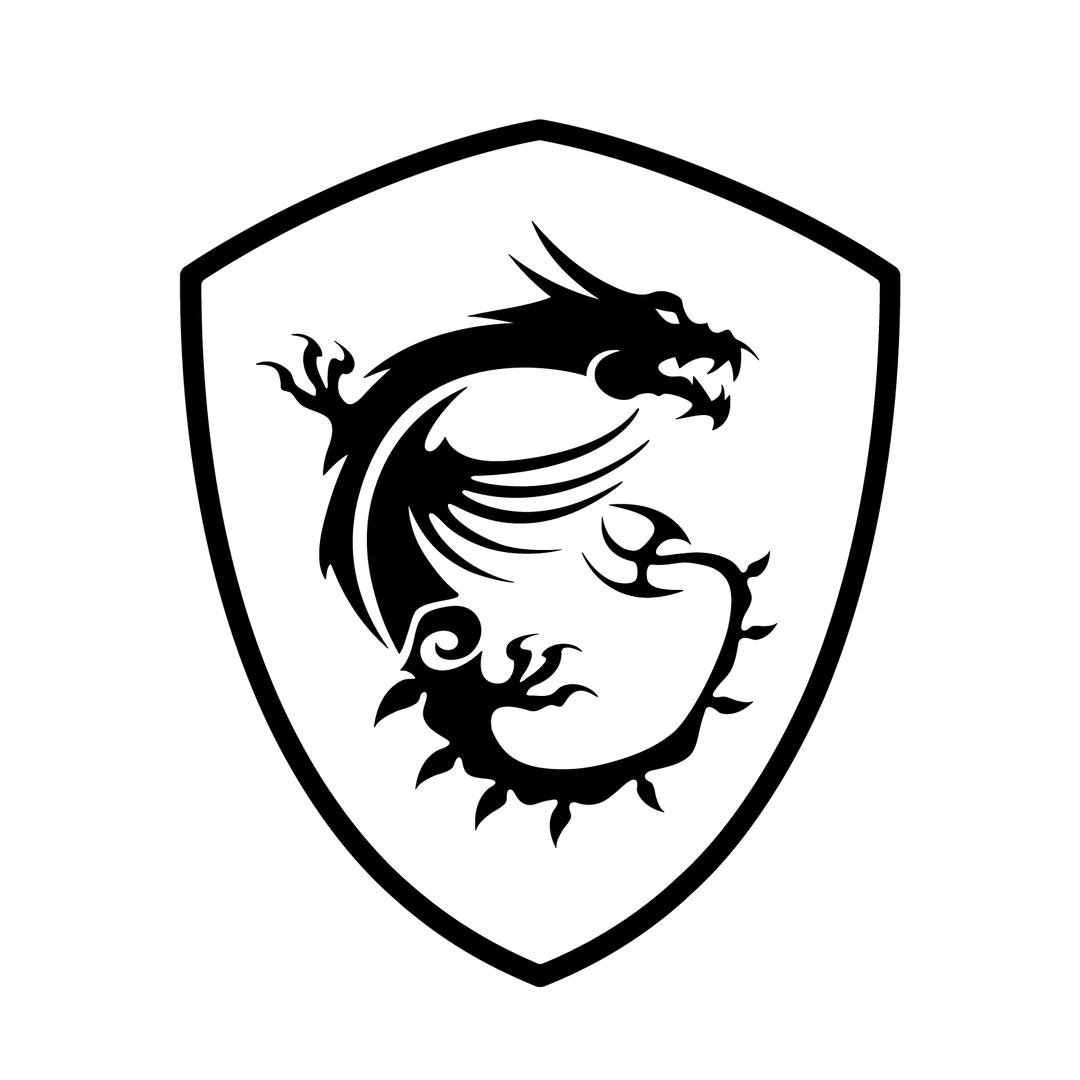 烟台微星(MSI)