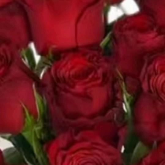 美好🌹🌹🍎🍎