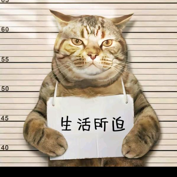 南川  木 木 汽车维修