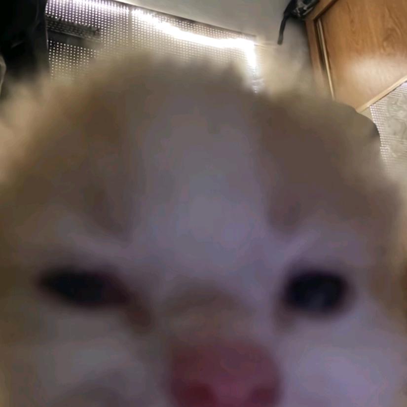 CXIKUN