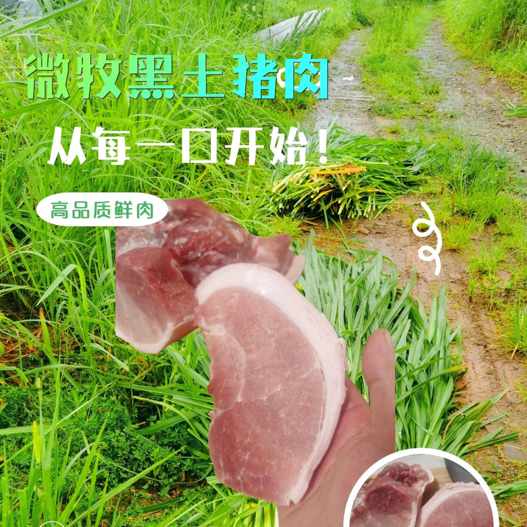 遂川微牧黑土猪肉(城南店)