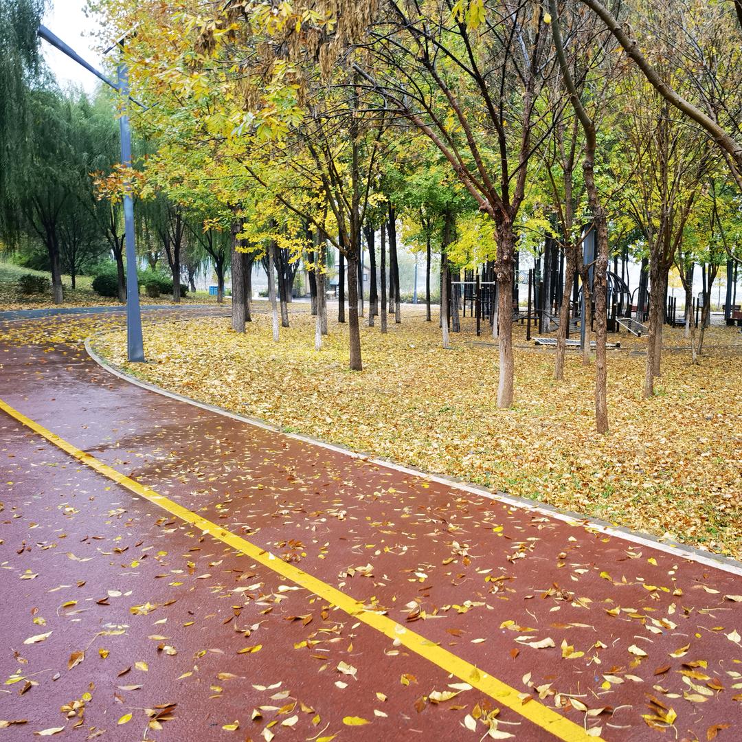 一砚风雨