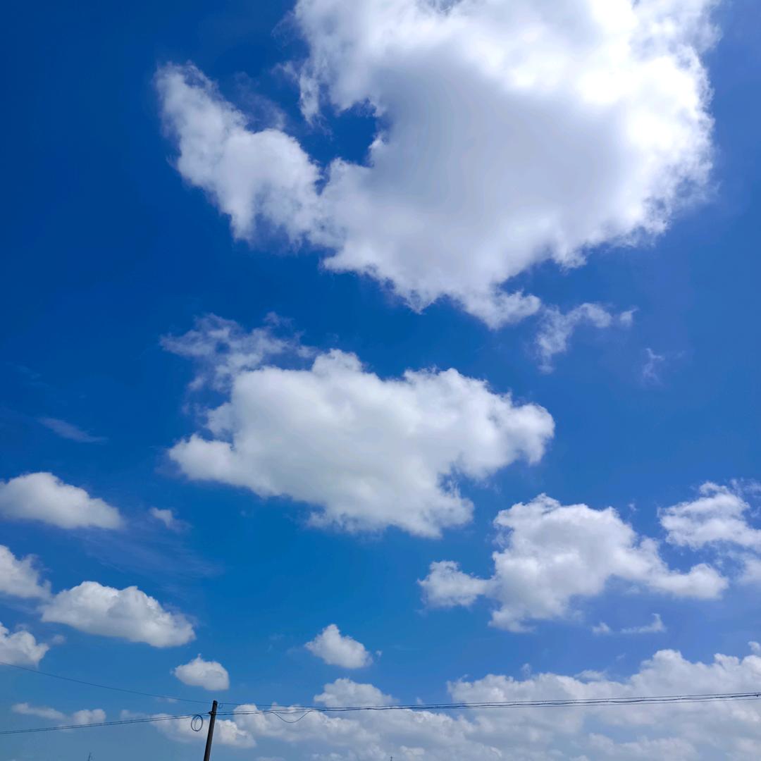雨成