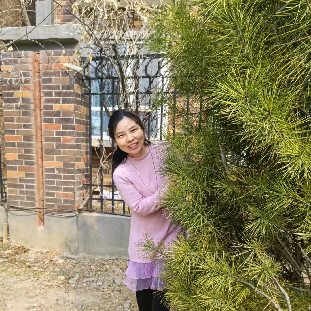 专注公司法律业务的韩律师