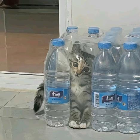 三水