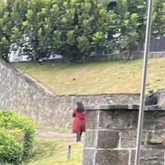 玉（李姐）祖籍（河南）