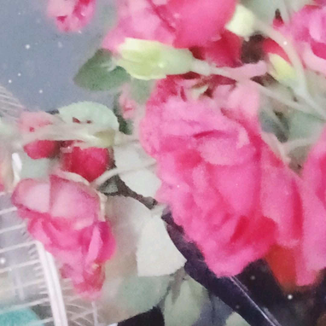 老茶客