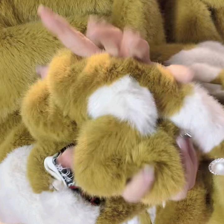 qq爱