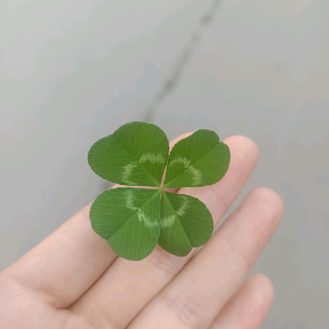 悠悠～然