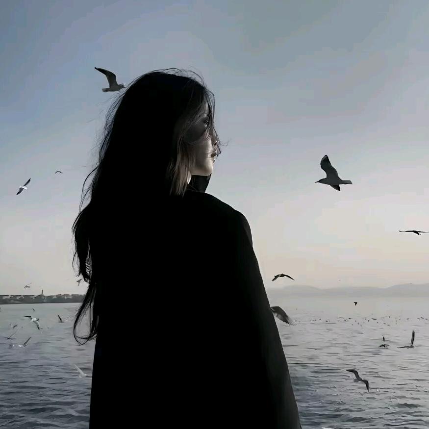 蓝桉🖤