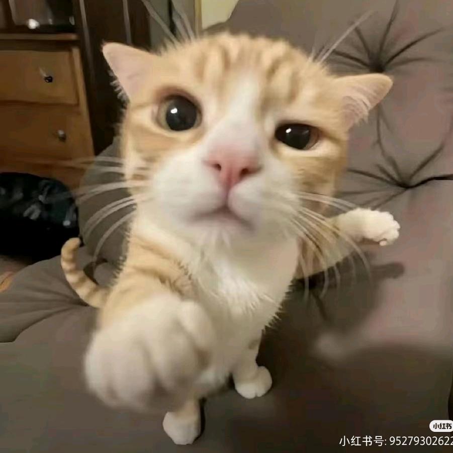 江煜