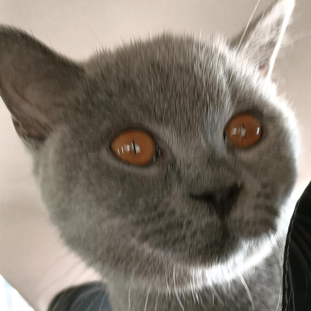 小春哥