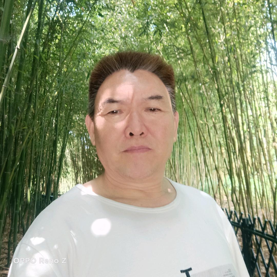 天马行空来了