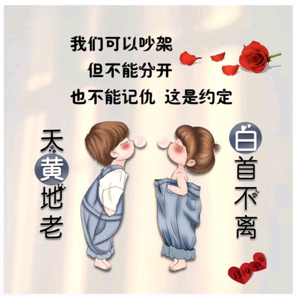 晶晶日上