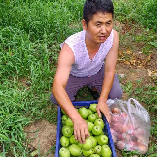 杨伟峰