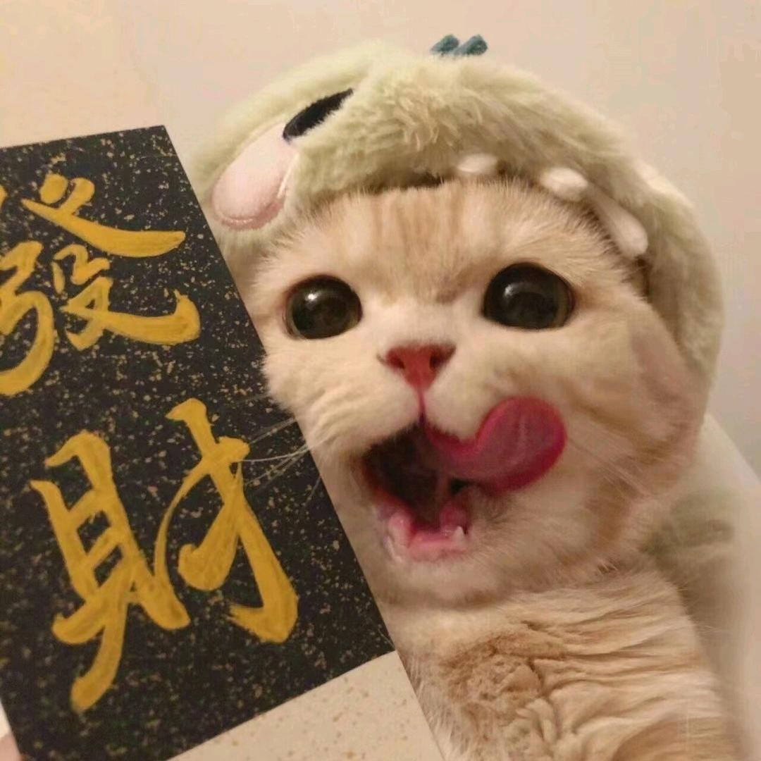 招财喵