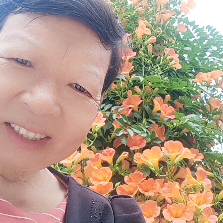 农村幺妹周二姐