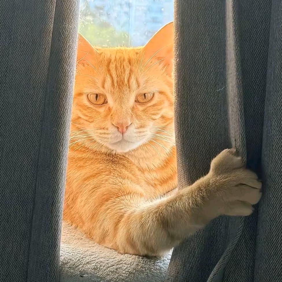 好身材 导出来⛄️⛄️⛄️