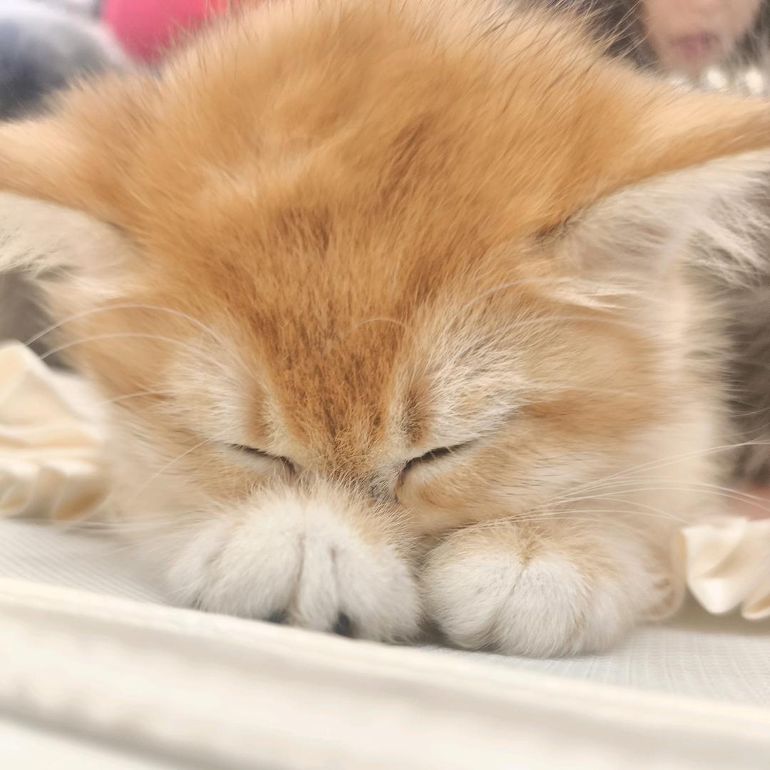山一重水一重