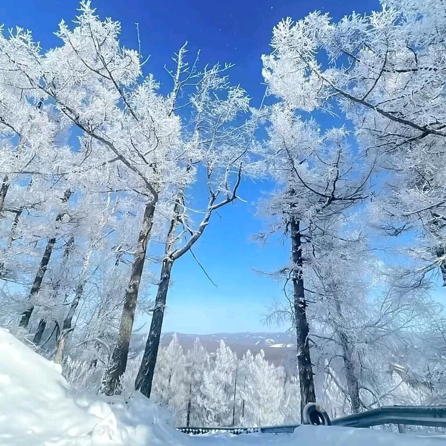 小麦修手机(激活锁)