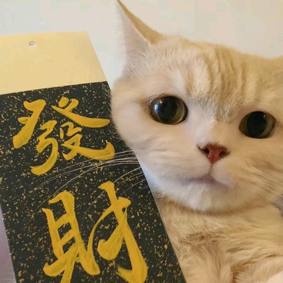 河南锋加秦信息科技有限公司小张