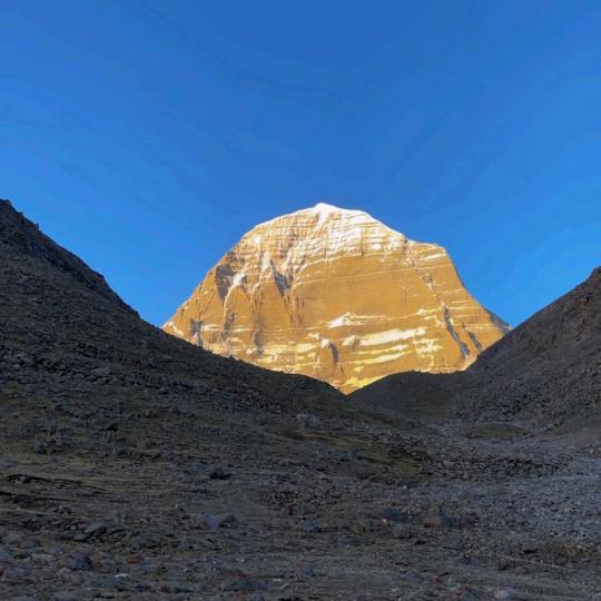 巴叔（择时捡乐）