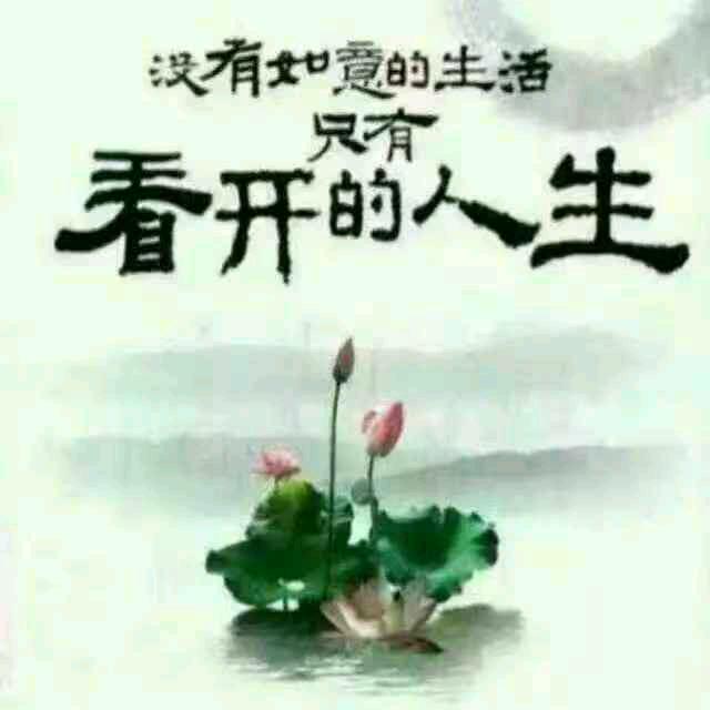 晨夏
