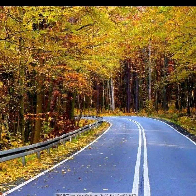 🌻㼻䕱㚎䚅🌹