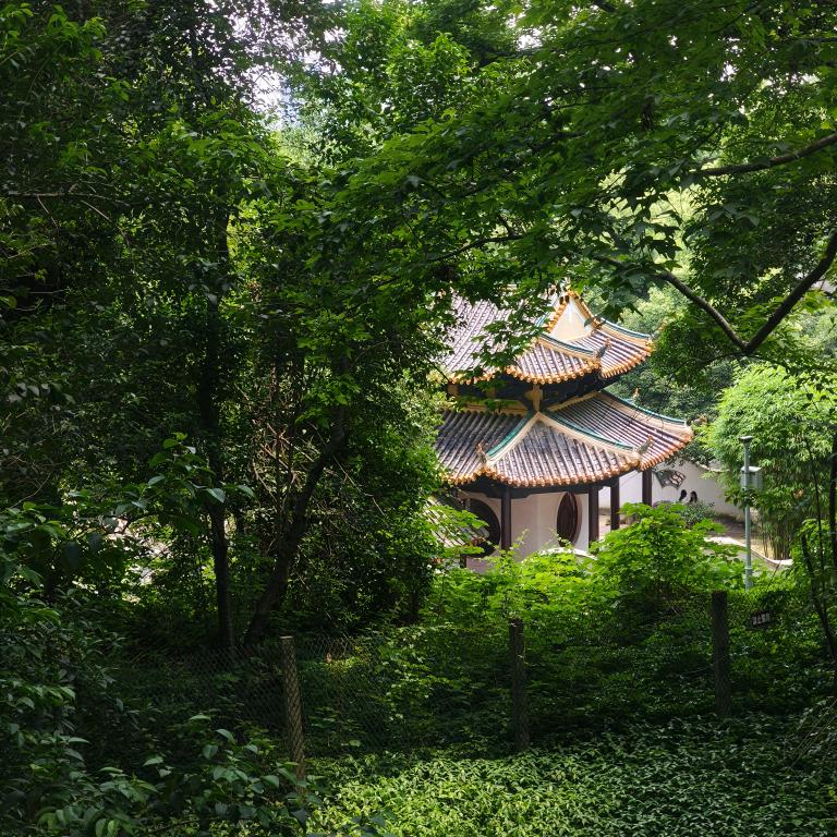 我不是你