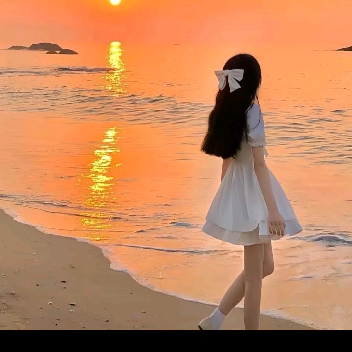家有四宝